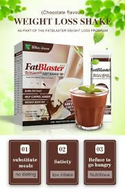 Wins Town Fat Blaster Ultimate Diet Shake
