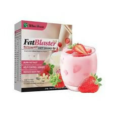 Wins Town Fat Blaster Ultimate Diet Shake
