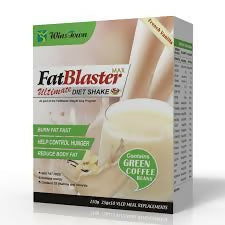 Wins Town Fat Blaster Ultimate Diet Shake