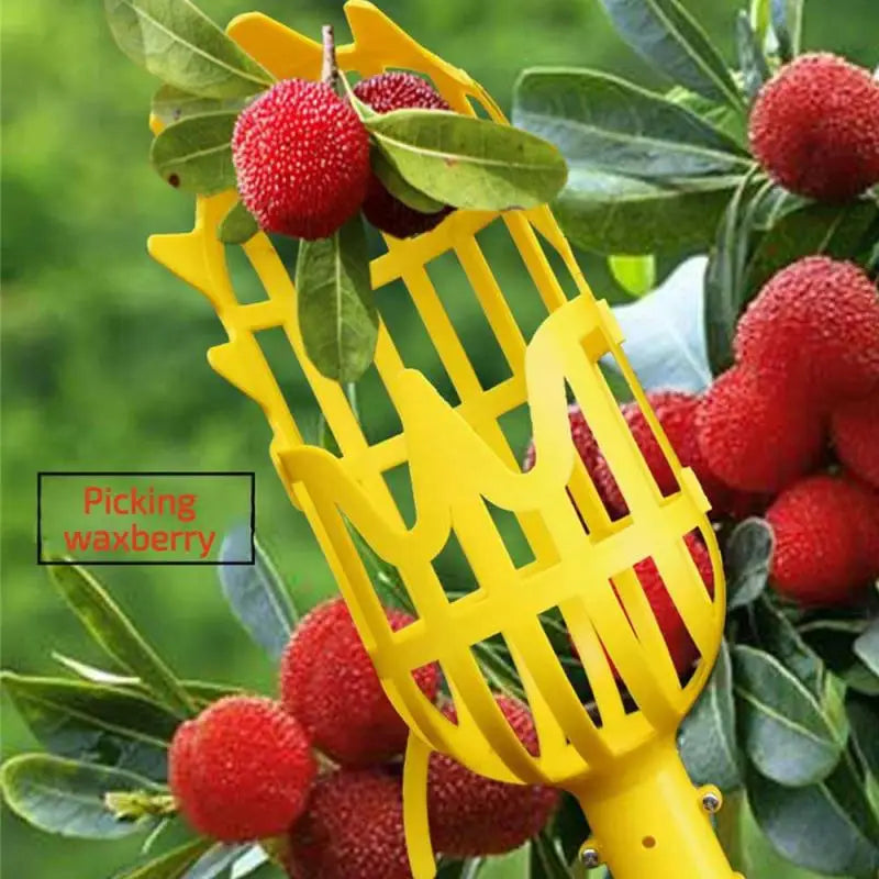 Multi-function Garden Basket Fruit Picker Head Plastic Fruit Picking Tool Catcher Agricultural Bayberry Jujube Picking Supplies