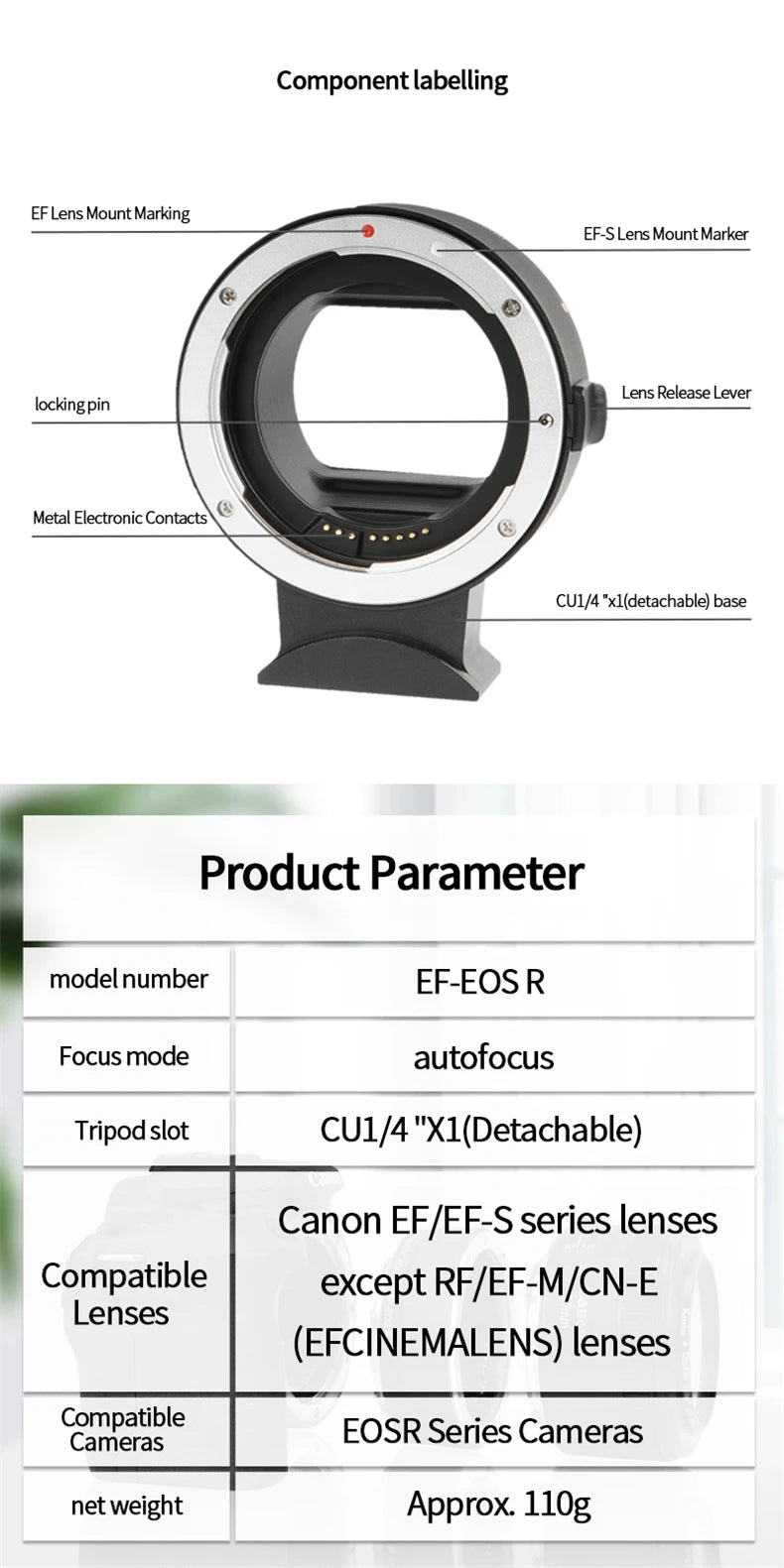 EF-EOS R Lens Adapter Electronic Auto-Focus EF to R Mount Adapter for ...