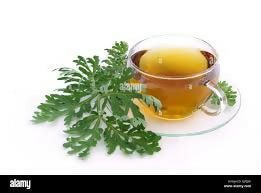 Fast slimming patch/Detox patch [30Pcs]